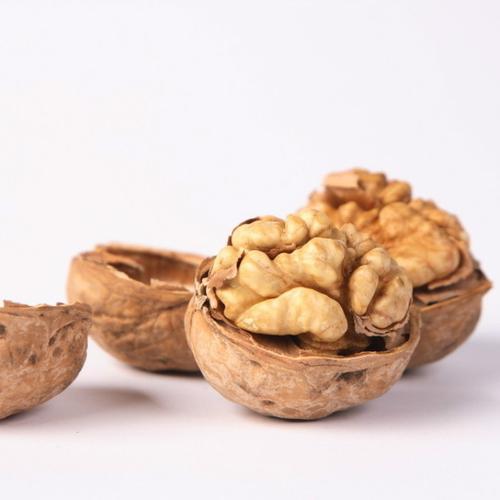 原料辅料,初加工材料 农产品 食用坚果干果 核桃 大量批发 一手货源